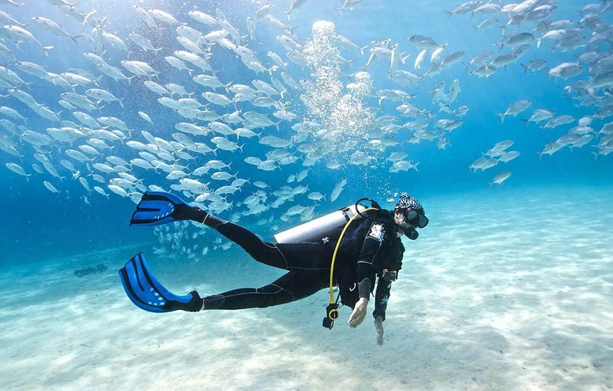 Diving in Hurghada